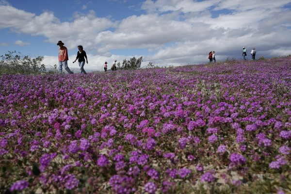Epoch Times Photo
