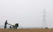 500 Acres of Farmland Poisoned by Chemical Plant Leak, Locals Say