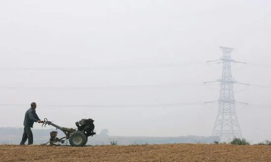 500 Acres of Farmland Poisoned by Chemical Plant Leak, Locals Say