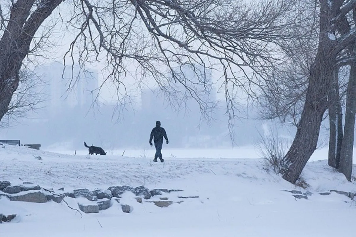 A man walks a dog in a snow covered park in Kingston, Ontario, on January 30, 2019. (Photo by LARS HAGBERG/AFP/Getty Images)