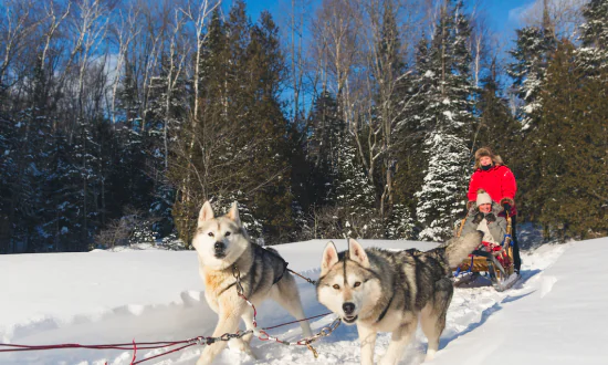 These US National Park Experiences Are Magical for Winter Visitors