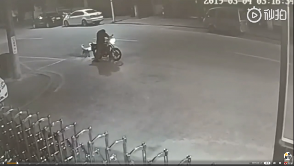 Dog and motorcycle