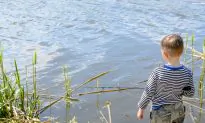 3-Year-Old Little Angler Catches Huge Rainbow Trout with Spider-Man Fishing Rod