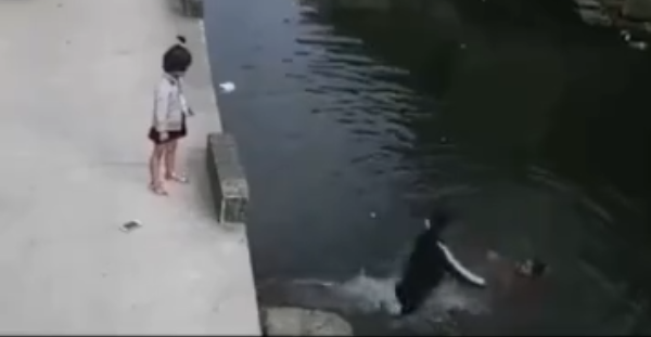 Girl's rescue