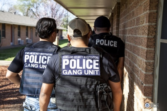 Members of Immigration and Customs Enforcement's HSI gang unit carry out an operation in Maryland on May 20, 2016. (ICE)