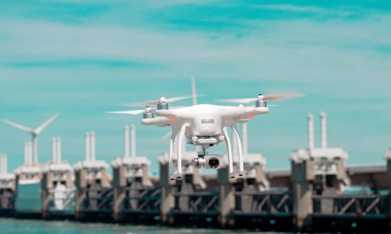 Will We Survive the Devastating Information and Technology Revolution?