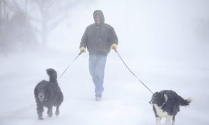 Old Farmer's Almanac Predicts 'Snow-verload' Winter Across Much of US