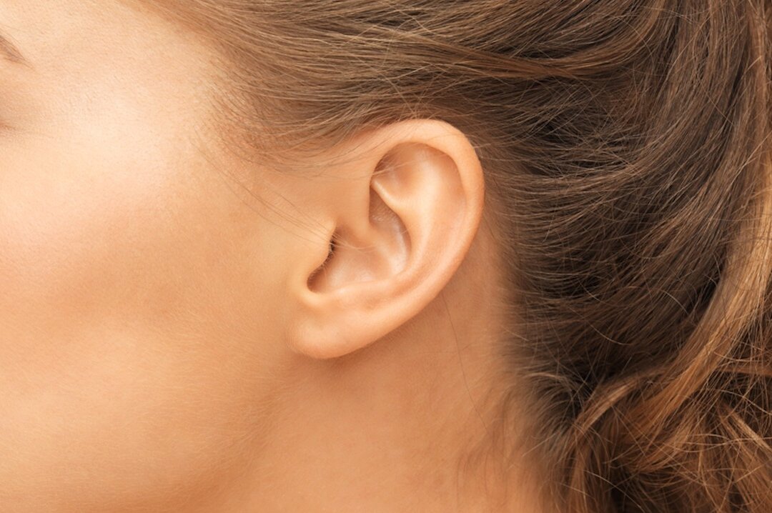Small ear may indicate kidney problem (Syda Productions/Shutterstock)