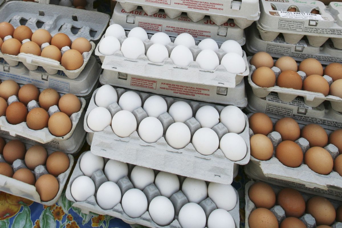 Cartons of eggs