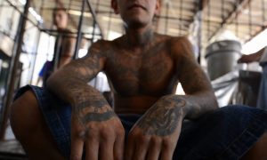 MS-13 Believed to Be Behind Body Found in Washington