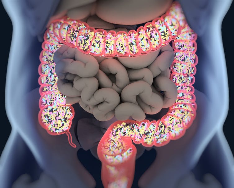 How the Gut Cures and Creates Disease—A Medical Frontier