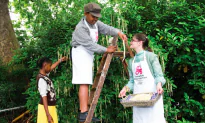 A Berkshire Journal: April Folly