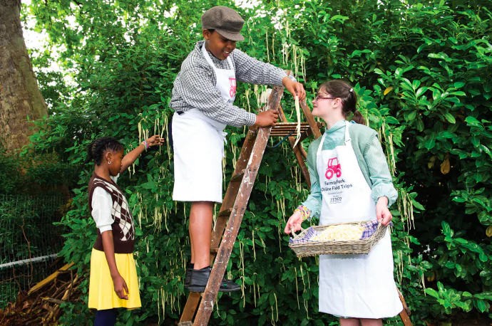 Children from St Ann's Primary School in Tottenham, London, have fun recreating the iconic Panorama Spaghetti-Tree hoax, on June 4, 2014. (Tesco via Getty Images)