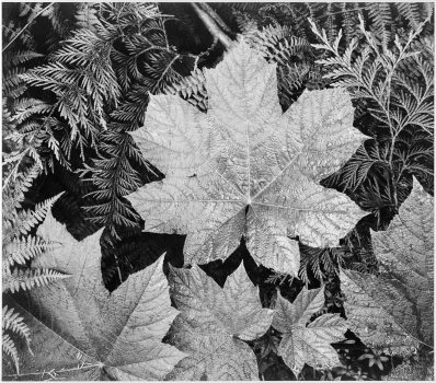 Ansel_Adams_-_National_Archives_