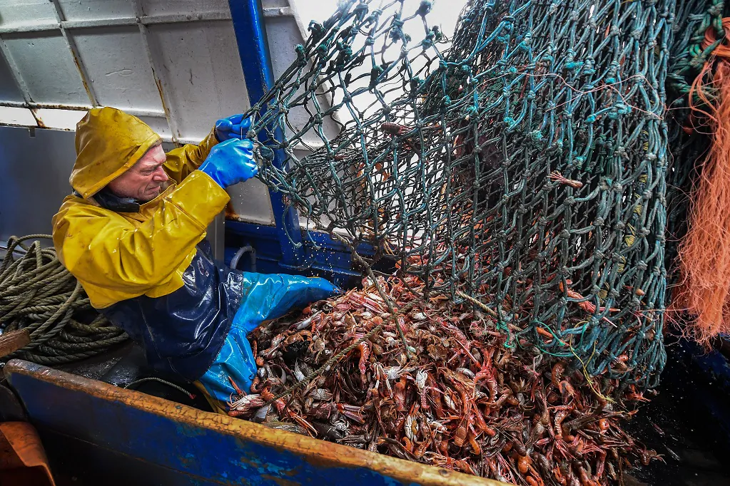 A deckhand on the Guide Me prawn trawler Angus Brown lands a prawn catch from Loch Long in Greenock, Scotland on March 5, 2019. (Jeff J Mitchell/Getty Images)