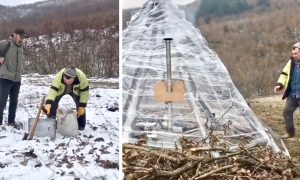 Ingenious Idea Creates a Camping Cabin for Just $5