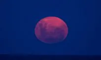 ‘Meteor’ Spotted Over Los Angeles Turns out to Be Stunt for Supermoon