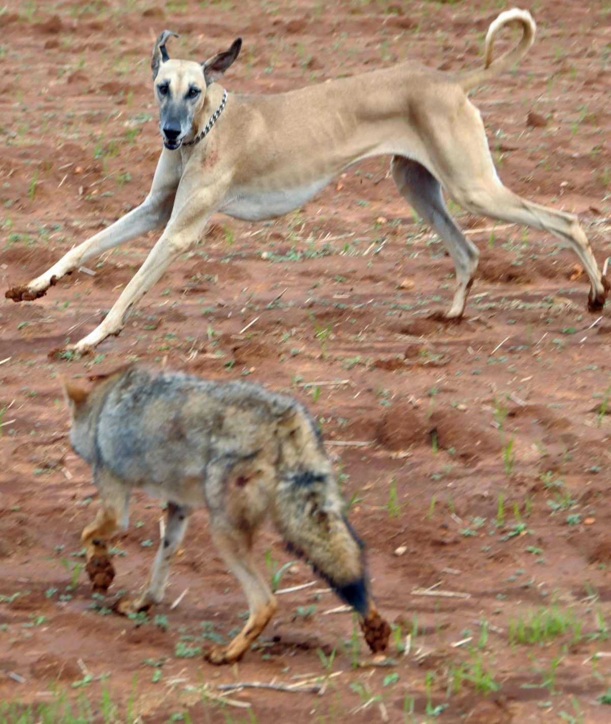 Epoch Times Photo