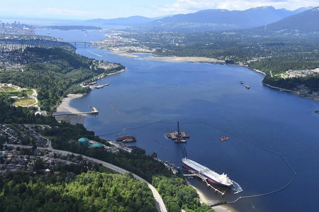 A aerial view of Kinder Morgan's Trans Mountain marine terminal, in Burnaby, B.C., is shown on May 29, 2018. (Jonathan Hayward/The Canadian Press)