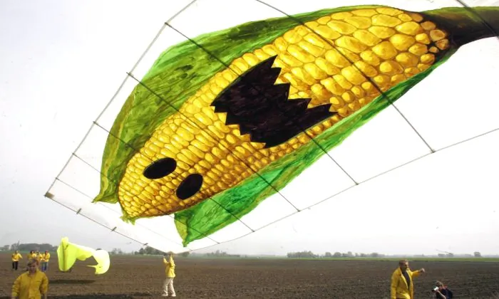 15 Things You Should Know About Monsanto