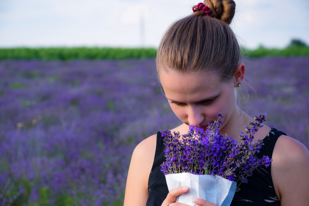 Inhaling the molecules of essential oils made from the lavender plant has been shown to have several therapeutic effects. (Richárd Ecsedi/Unsplash)
