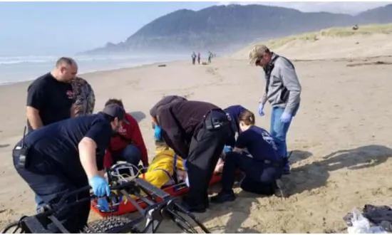 Woman Crushed by DriftWood Log Caught in ‘Sneaker Wave’