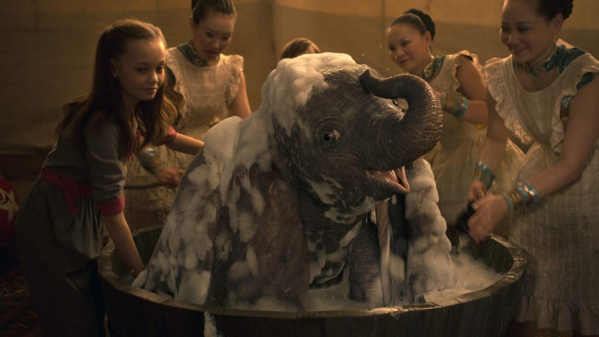 elephant in a tub