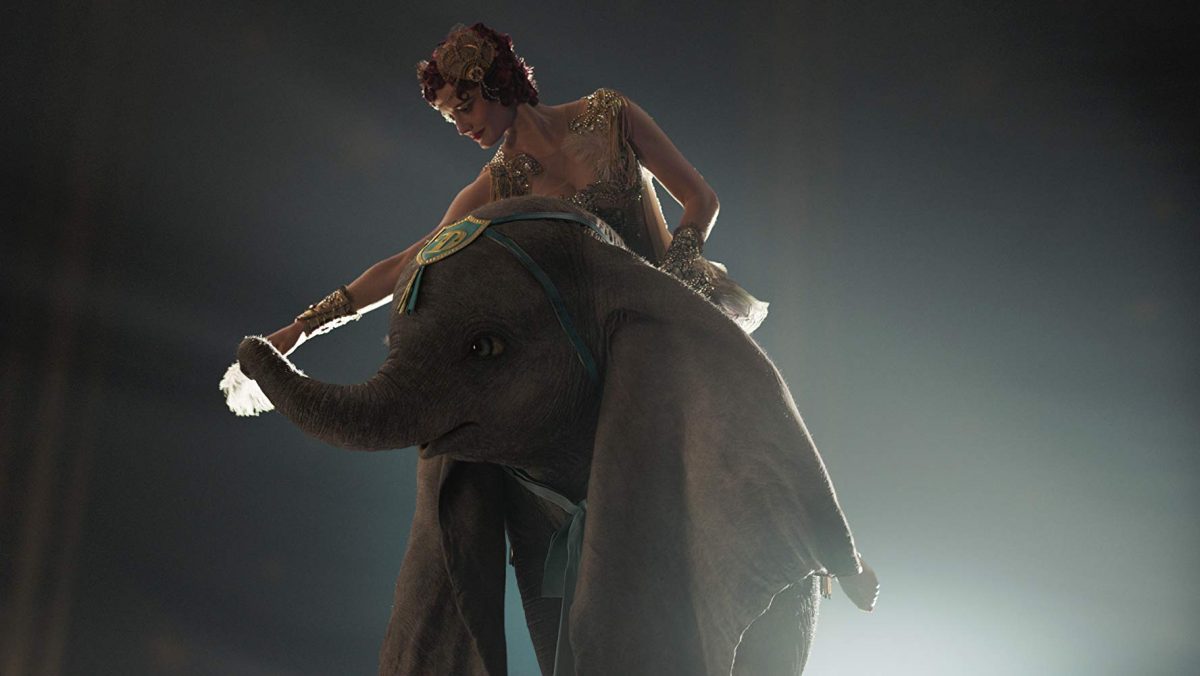 woman on small elephant