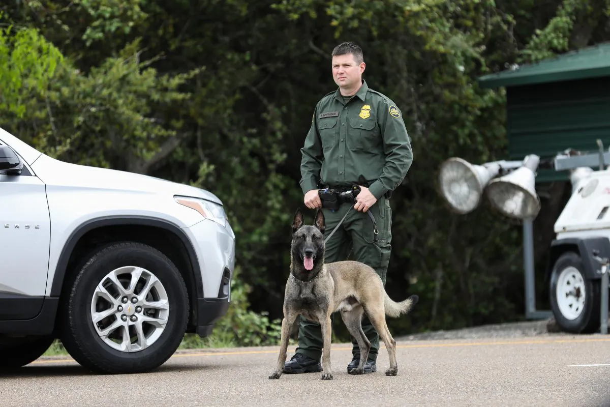 A Border Patrol agents and K-9 inspect vehicles at the Javier Vega, Jr., Border Patrol checkpoint in Sarita, Texas, on March 20, 2019. (Charlotte Cuthbertson/The Epoch Times)