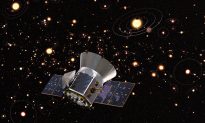NASA Mission Finds New Planet, Most Promising Stars to Support Life