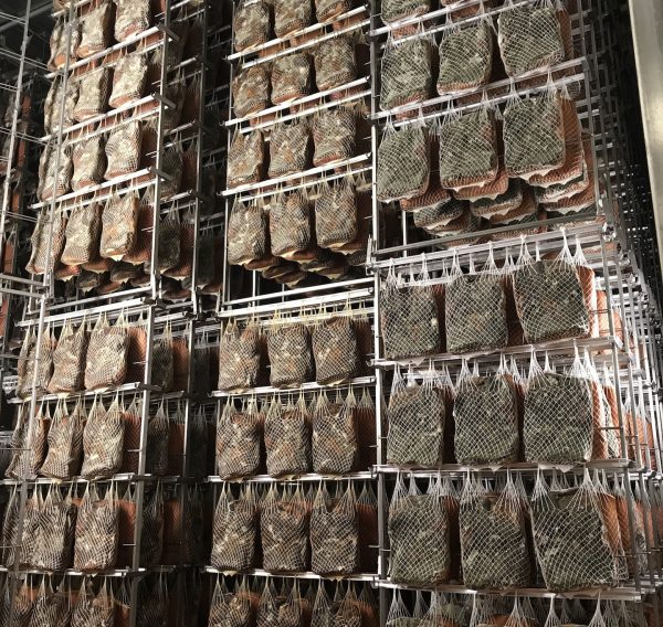 Speck hanging in nets in smoking room