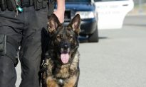 K-9 Officer Tracks Down Two Missing Children in the Woods of Virginia