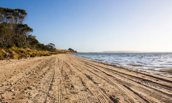 Viral Photo: Picture of the Beach Is Something Else Entirely