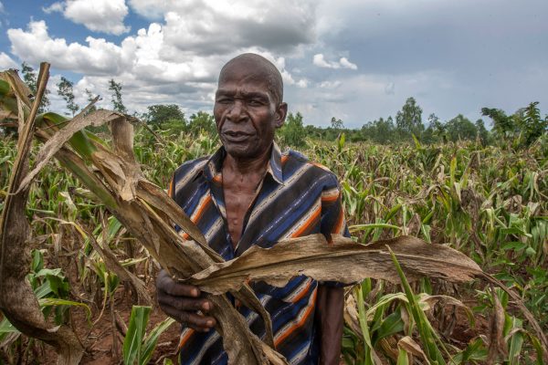 Malawi farmer