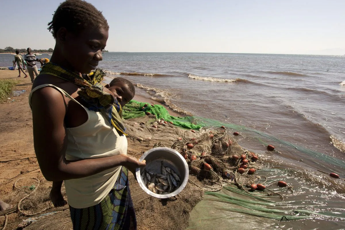 A Malawian woman carrying her child shows the few fish she bought from local fishermen on the shores of Lake Malawi near the Makawa Fishing Village in eastern Malawi in this file photo. (Amos Gumulira/AFP/Getty Images)