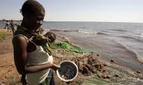 Experts Call for Scrutiny of Chinese Loans Ahead of Malawi Election