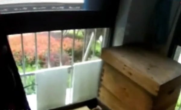 Bee house