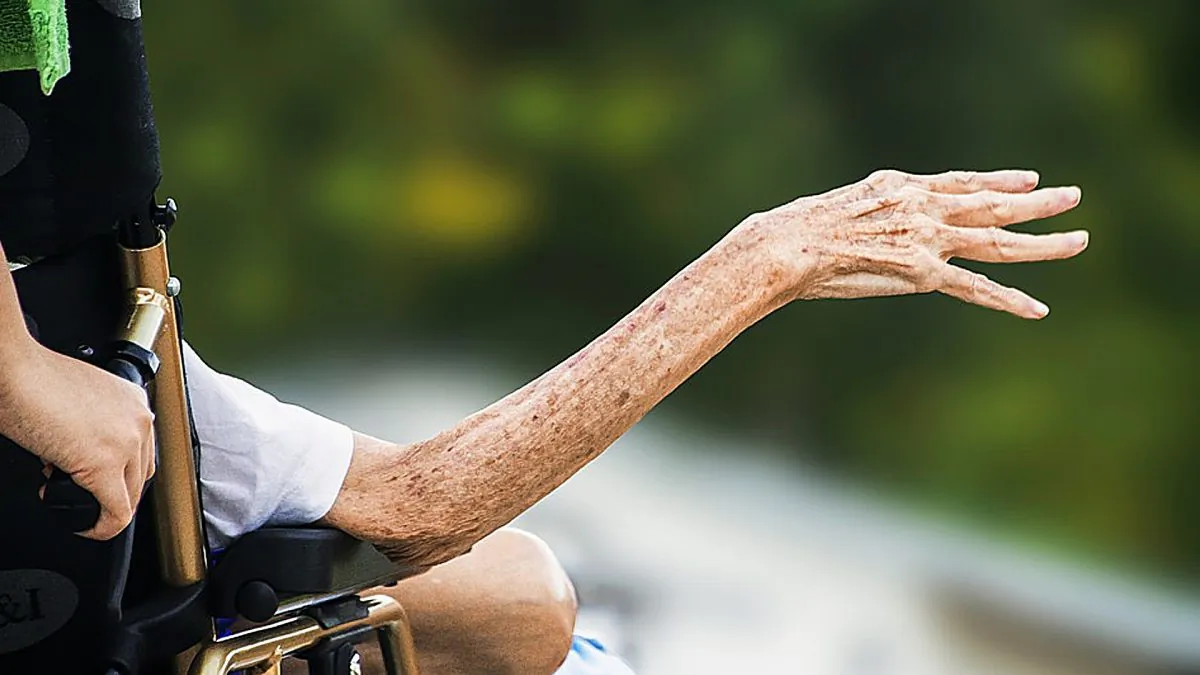 A German court rejected damages for prolonging a patient’s life. (Truth Seeker08/Pixabay)
