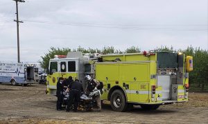 Two California Teens Die of Electrocution During Canal Dog Rescue