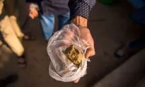 Scientists Find Dangerous Levels of Fecal Matter in Street Cannabis