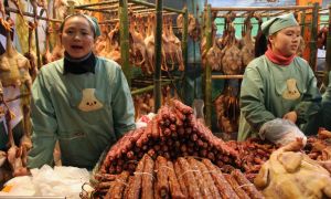 First African Swine Fever Outbreaks in Cambodia, While Japan Detects Active Virus