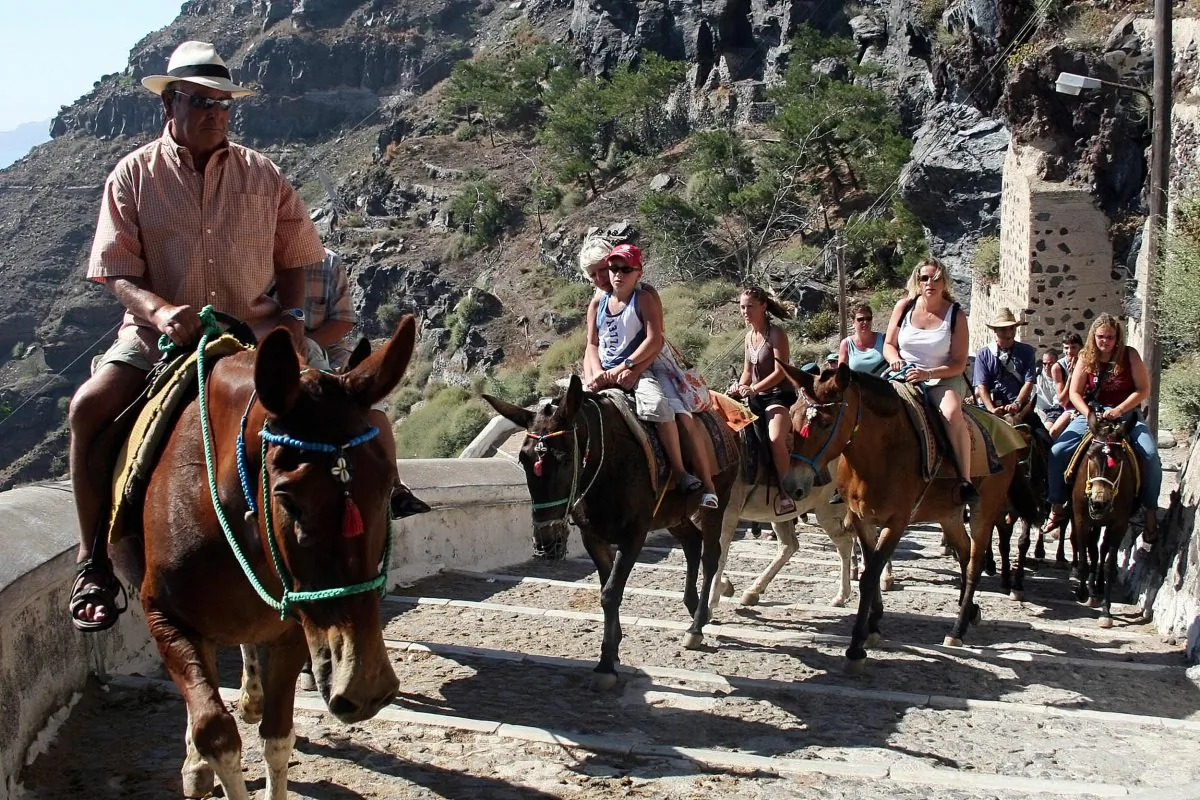 Donkeys ferrying tourists to Fira, on the Greek island of Santorini on July 6, 2007. (Sakis Mitrolidis/AFP/Getty Images)