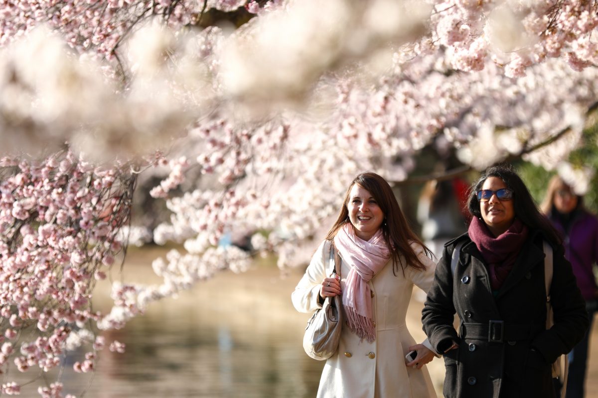 Epoch Times Photo