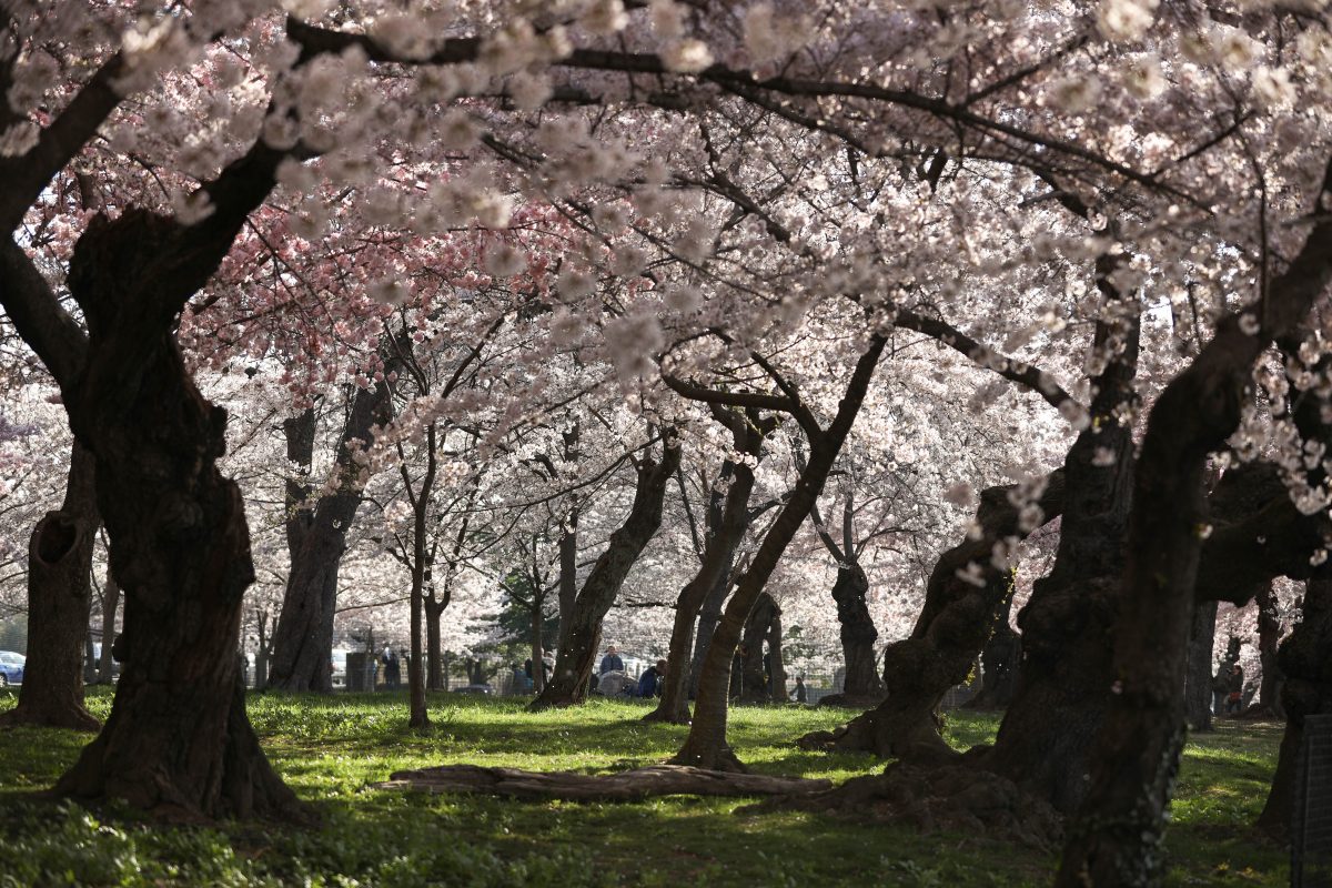 Epoch Times Photo