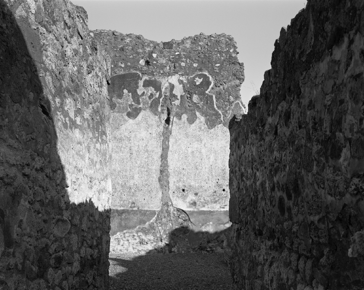 William Wylie Pompeii