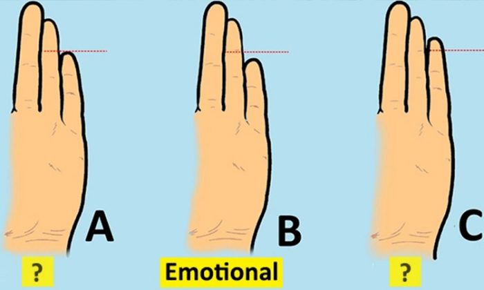 Palmistry of the Pinky Finger Can Reveal Your Personality, This ...