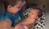 Toddlers Meeting Their Newborn Siblings for the First Time
