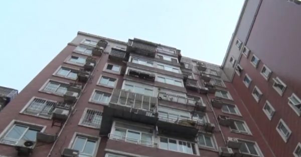 The building