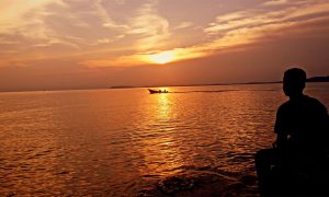 Man Starts Scraping ‘Strange-Looking’ Object When He Realizes It’s a Turtle