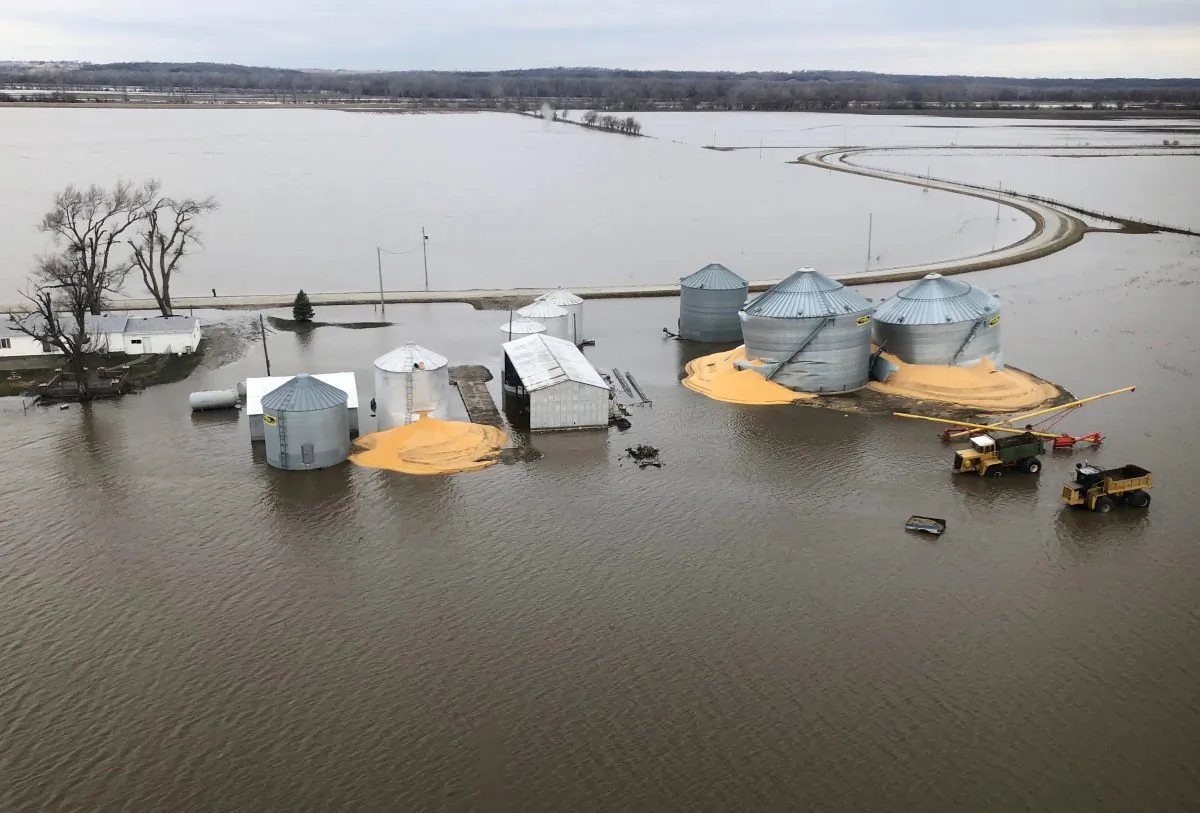 The contents of grain silos which burst from flood damage are shown in Fremont County Iowa, on March 29, 2019. (Tom Polansek/Reuters)